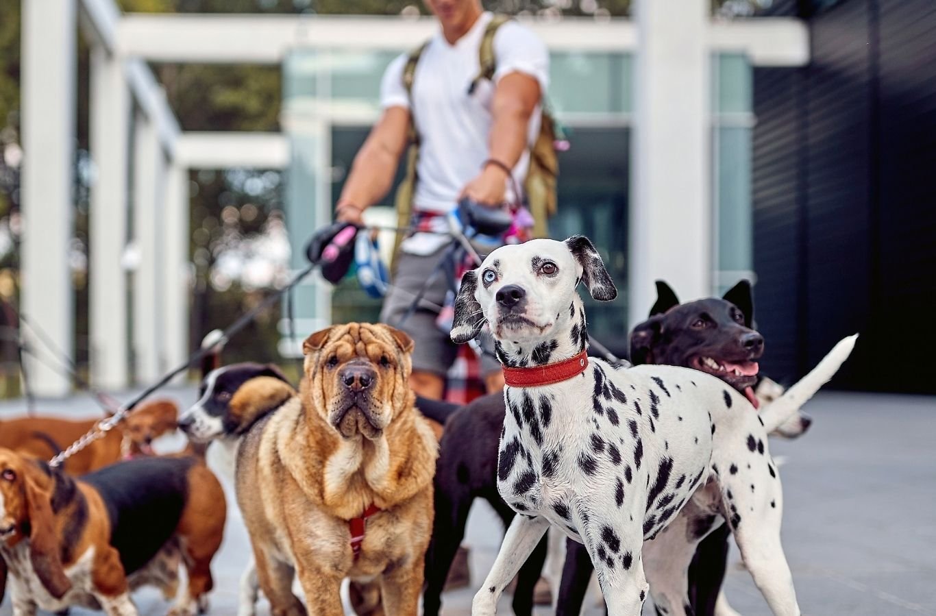 783878 Listing Img 783878 Listing Img