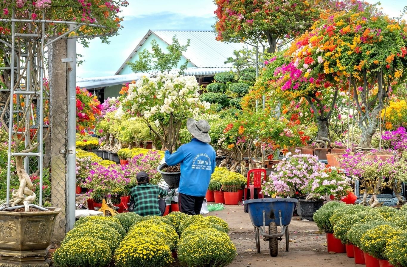 Listing Image Listing Image